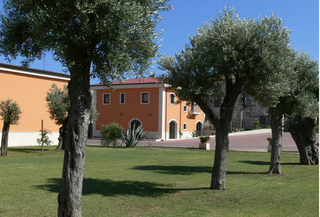 Cantina - Aziende più competitive d’Italia, alla Ippolito 1845 il Premio “Industria Felix” - 5 Cantina - Meraviglie di Calabria - 4