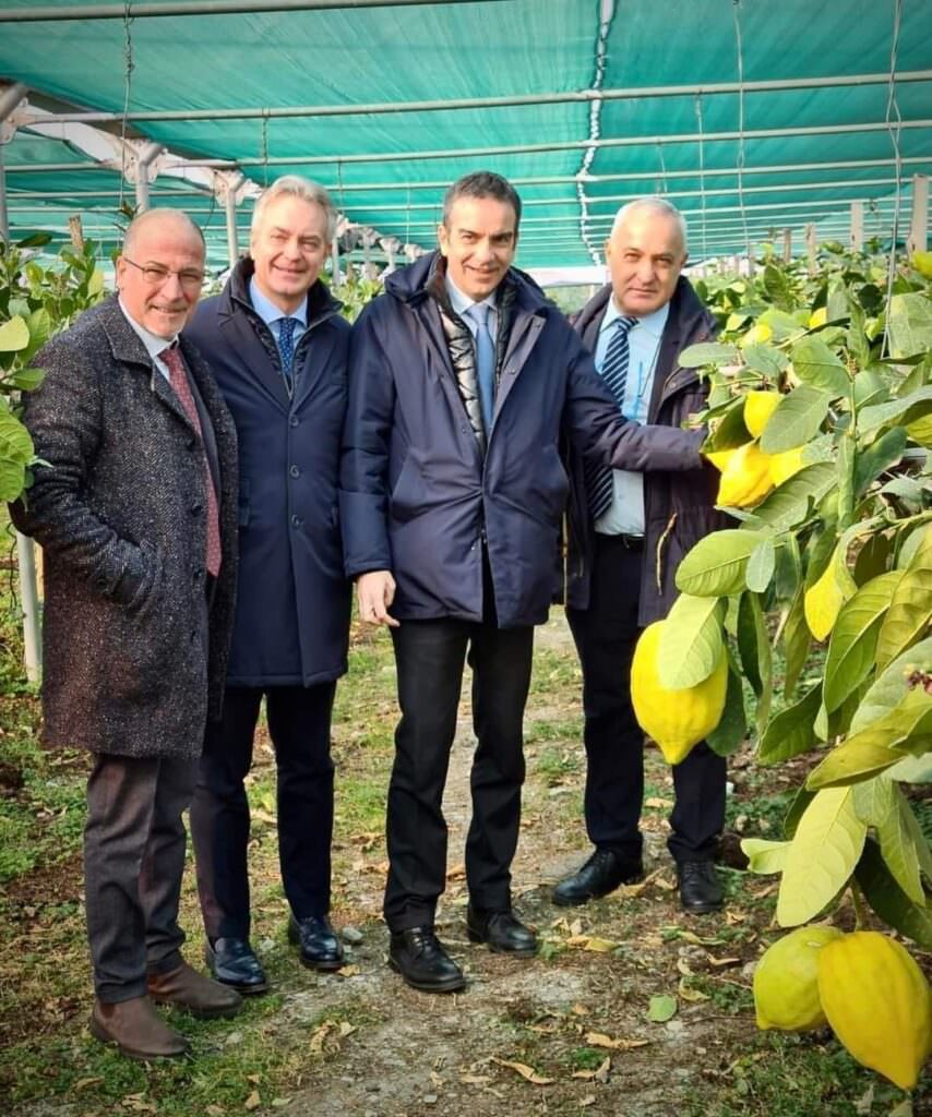 Foto comunicato - MacFrut 2024, a Rimini in mostra il Cedro di Calabria - 5 Foto comunicato - Meraviglie di Calabria - 4