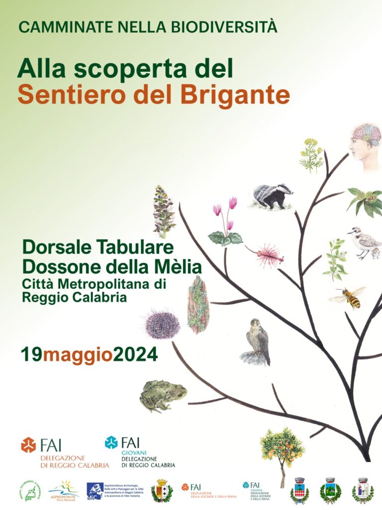 LOCANDINA - Fai per la Biodiversità, alla scoperta del Sentiero del Brigante - 17 LOCANDINA - Meraviglie di Calabria - 16