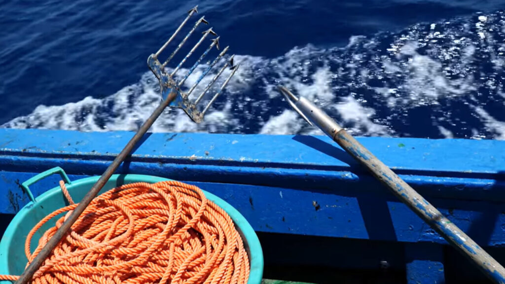 Xiphias. Historica caccia al pescespada a Ganzirri dal 27 al 29 luglio - Pesca tradizionale dello Stretto, il presidio Slow Food per rilanciare le tecniche identitarie - 7 Xiphias. Historica caccia al pescespada a Ganzirri dal 27 al 29 luglio - Meraviglie di Calabria - 6
