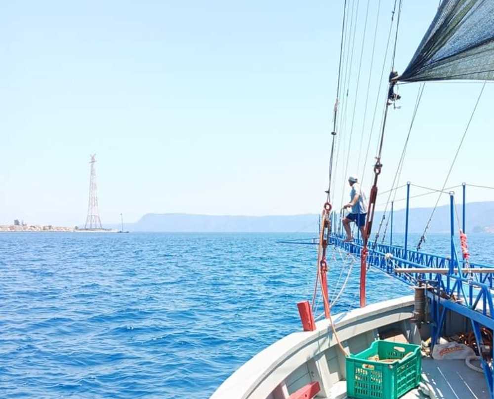 pesca 3 1 - Pesca tradizionale dello Stretto, il presidio Slow Food per rilanciare le tecniche identitarie - 15 pesca 3 1 - Meraviglie di Calabria - 14