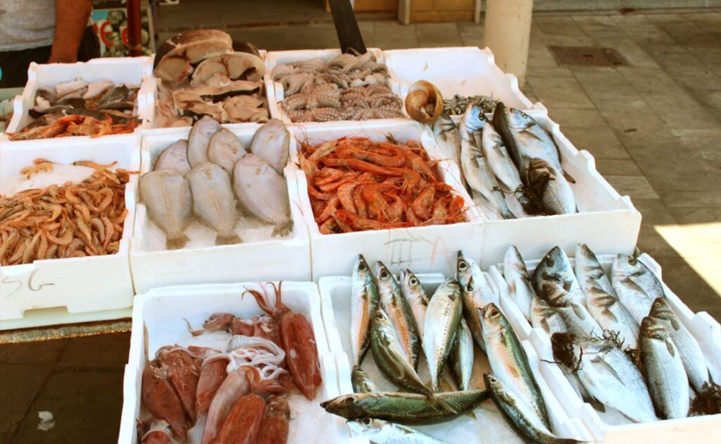 pescato - Pesca tradizionale dello Stretto, il presidio Slow Food per rilanciare le tecniche identitarie - 17 pescato - Meraviglie di Calabria - 16