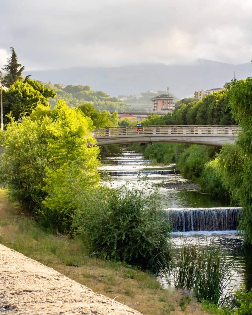 260a5ac5 4cb6 404d 9b95 73cc1d5509c3 - Meraviglie di Calabria - 14
