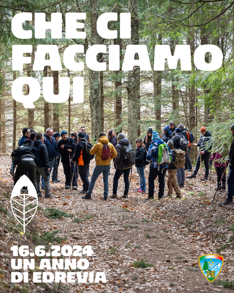 IMG 0206 - Che ci facciamo qui, un anno di Edrevia: trekking dai castagni giganti fino al mare - 3 IMG 0206 - Meraviglie di Calabria - 2