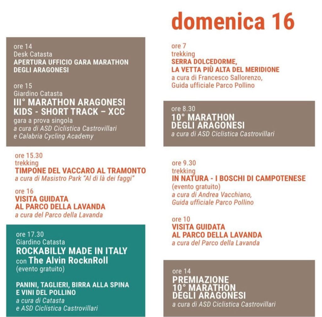 WhatsApp Image 2024 06 10 at 23.34.42 1 - Pollino Bike Festival: weekend outdoor per gli amanti della natura - 11 WhatsApp Image 2024 06 10 at 23.34.42 1 - Meraviglie di Calabria - 10