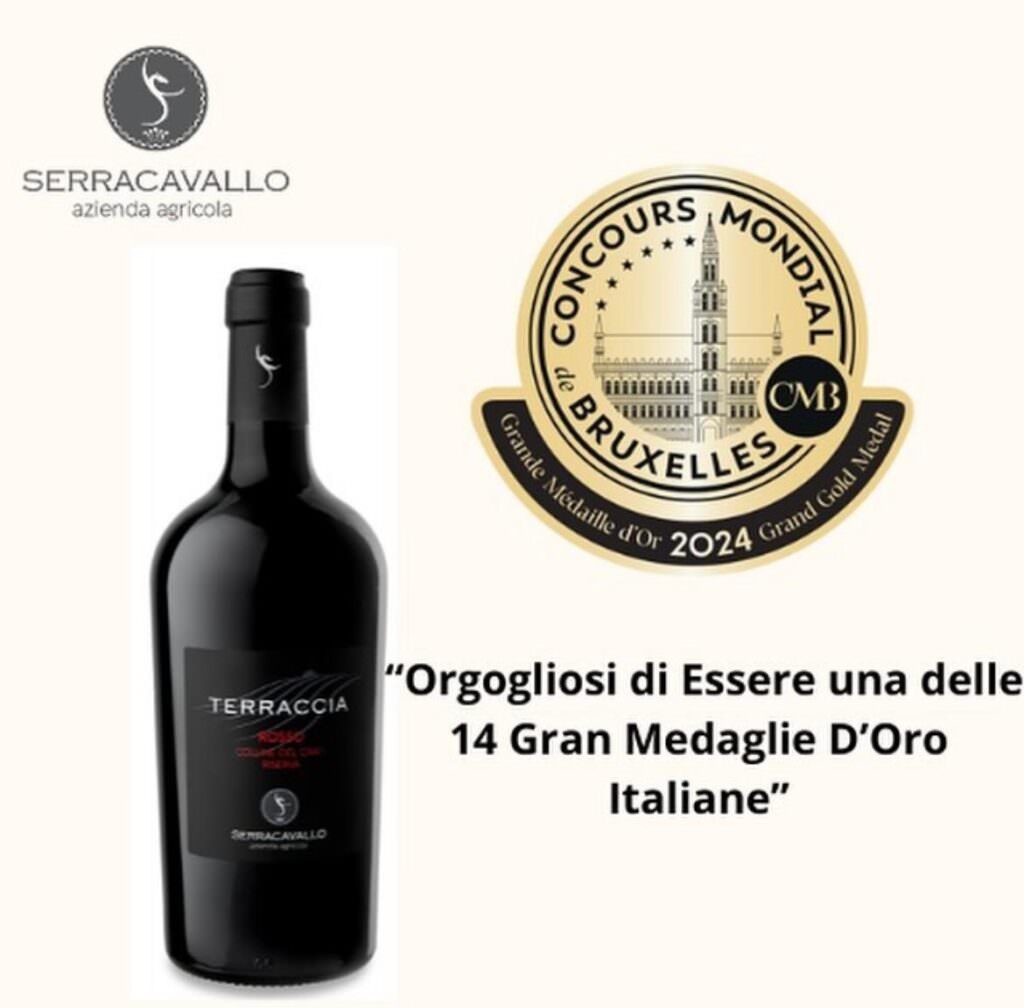 WhatsApp Image 2024 06 19 at 16.58.15 1 - Per la prima volta un vino calabrese vince la Gran Medaglia d'Oro al Concours Mondial de Bruxelles - 3 WhatsApp Image 2024 06 19 at 16.58.15 1 - Meraviglie di Calabria - 2