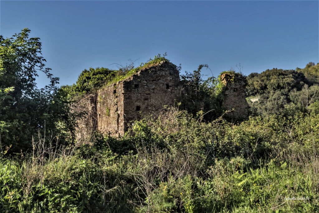 448931917 810741237827608 7640052534494693592 n - Meraviglie di Calabria - 10
