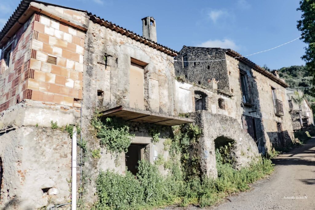449433780 810740774494321 4989520872227706743 n - Meraviglie di Calabria - 24