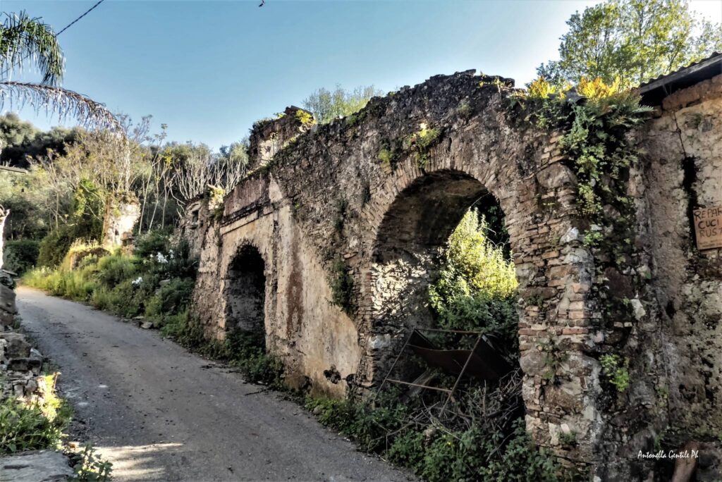 449435132 810740831160982 431145377793139229 n - Meraviglie di Calabria - 28