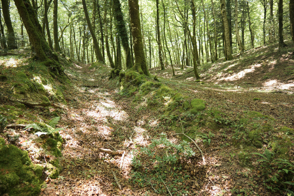 Aspromonte AnticheMuraRomane 7 - Meraviglie di Calabria - 2