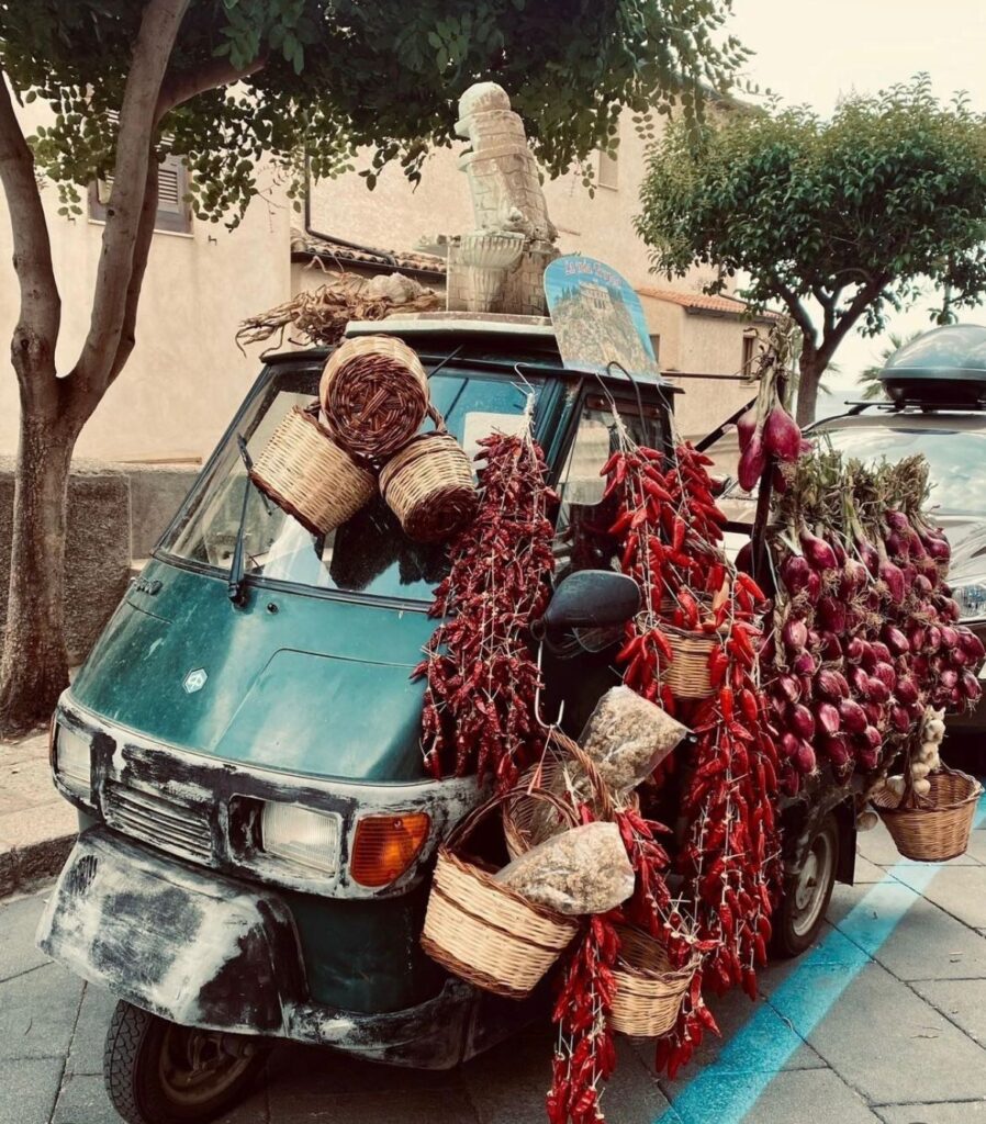 WhatsApp Image 2024 07 18 at 15.13.43 - Meraviglie di Calabria - 16