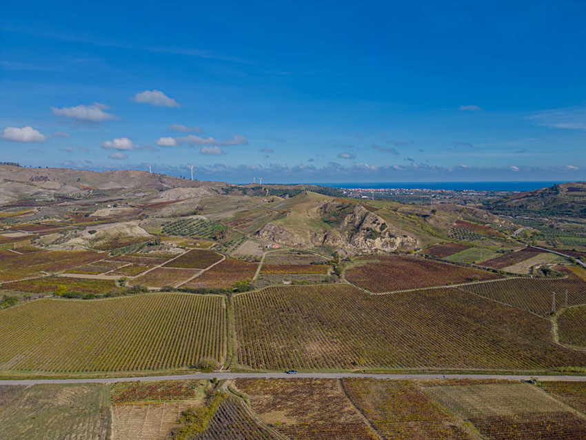 Ciro territorio 1 - Cirò Wine Festival: Degustazioni, Dialoghi e Celebrazione dell'Identità Vinicola - 5 Ciro territorio 1 - Meraviglie di Calabria - 4