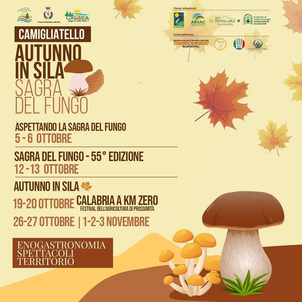 Autunno in Sila - Sagra del Fungo di Camigliatello, un primato da 55 anni - 7 Autunno in Sila - Meraviglie di Calabria - 6