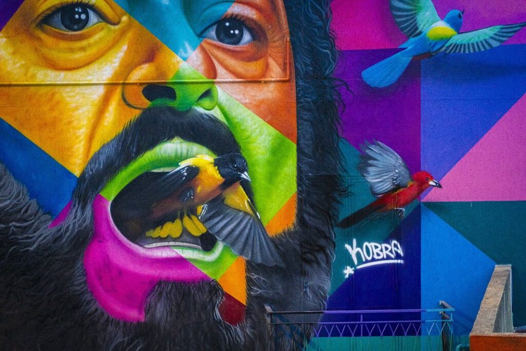 Luce fest 5 - LuceFest, Kobra e l'immenso Pavarotti - 9 Luce fest 5 - Meraviglie di Calabria - 8