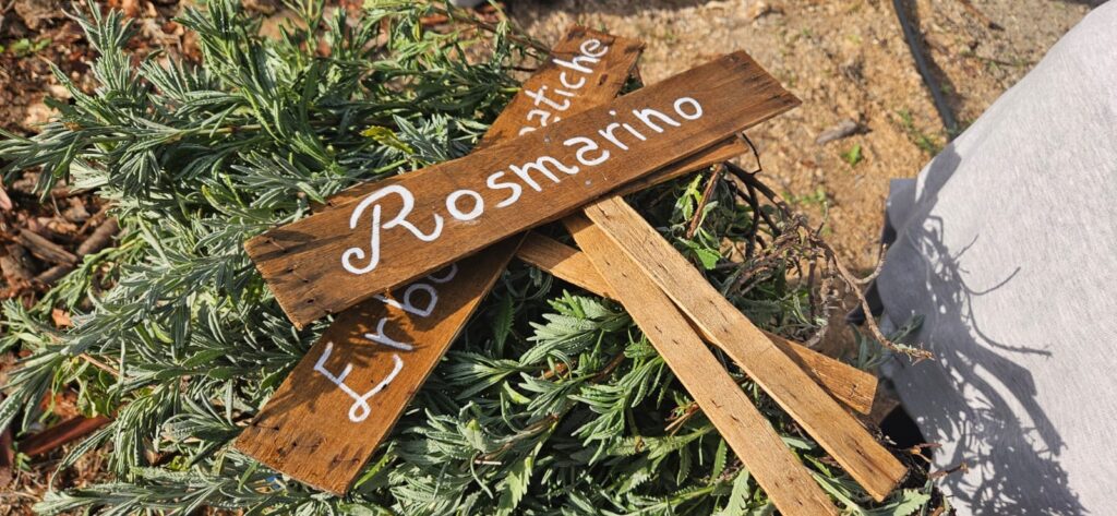 foto Cascina insegne legno - Green Rural Farm, a Carolei i ragazzi "coltivano" sostenibilità - 7 foto Cascina insegne legno - Meraviglie di Calabria - 6