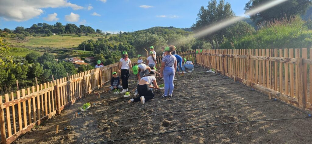 foto Cascina orto ragazzi - Green Rural Farm, a Carolei i ragazzi "coltivano" sostenibilità - 5 foto Cascina orto ragazzi - Meraviglie di Calabria - 4