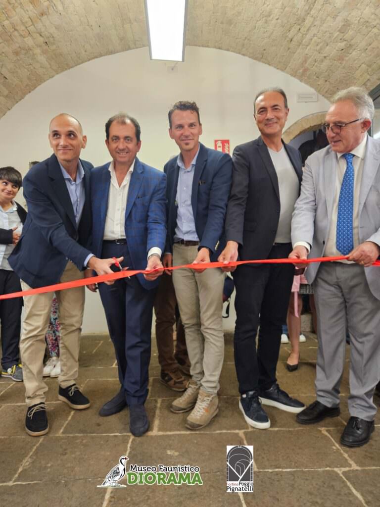 1 1 - Campo Calabro, inaugurato il Museo Faunistico Diorama - FOTO - 7 1 1 - Meraviglie di Calabria - 6