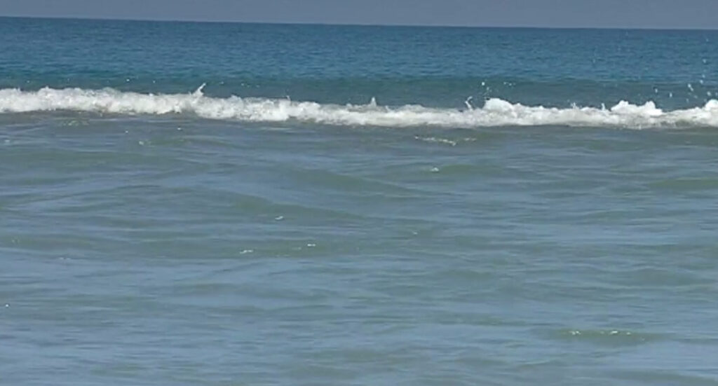 29 Pollino foce Lao Scalea - Il fiume Lao, il giro dell’acqua e altre storie - 72 29 Pollino foce Lao Scalea - Meraviglie di Calabria - 71