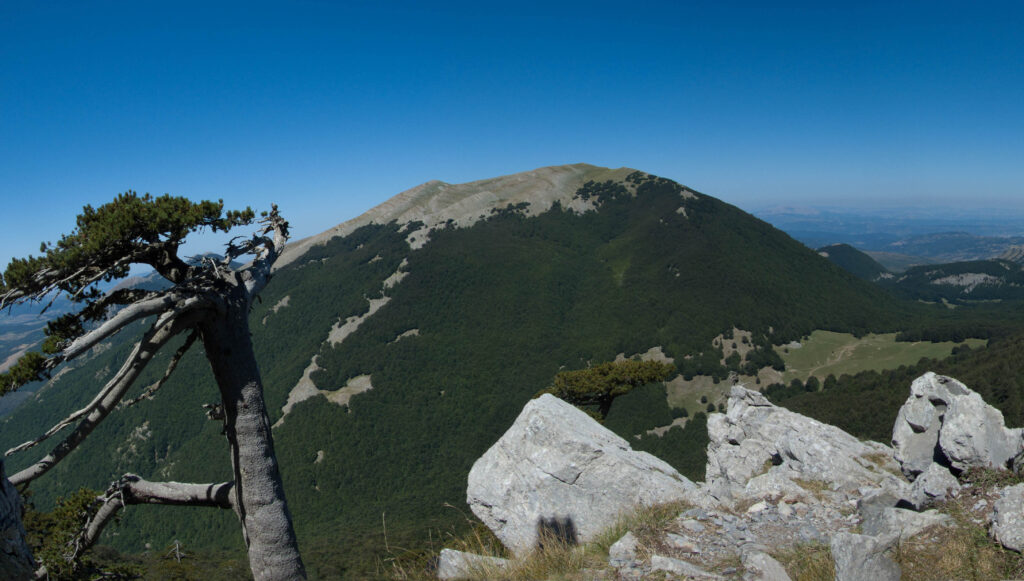 62 Pollino serra del prete - Il fiume Lao, il giro dell’acqua e altre storie - 7 62 Pollino serra del prete - Meraviglie di Calabria - 6