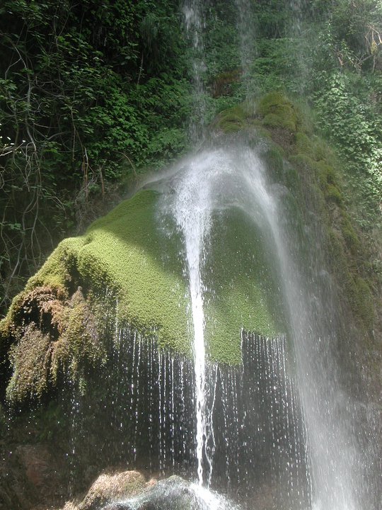 65 Fiume Lao Francescp La Carbonara - Il fiume Lao, il giro dell’acqua e altre storie - 45 65 Fiume Lao Francescp La Carbonara - Meraviglie di Calabria - 44