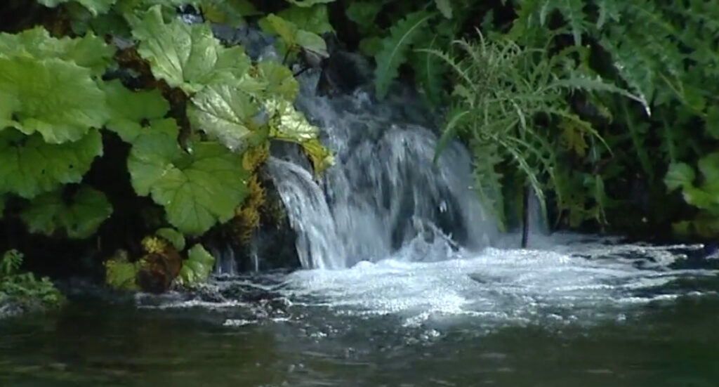 7 Pollino Lao Rotonda - Il fiume Lao, il giro dell’acqua e altre storie - 13 7 Pollino Lao Rotonda - Meraviglie di Calabria - 12