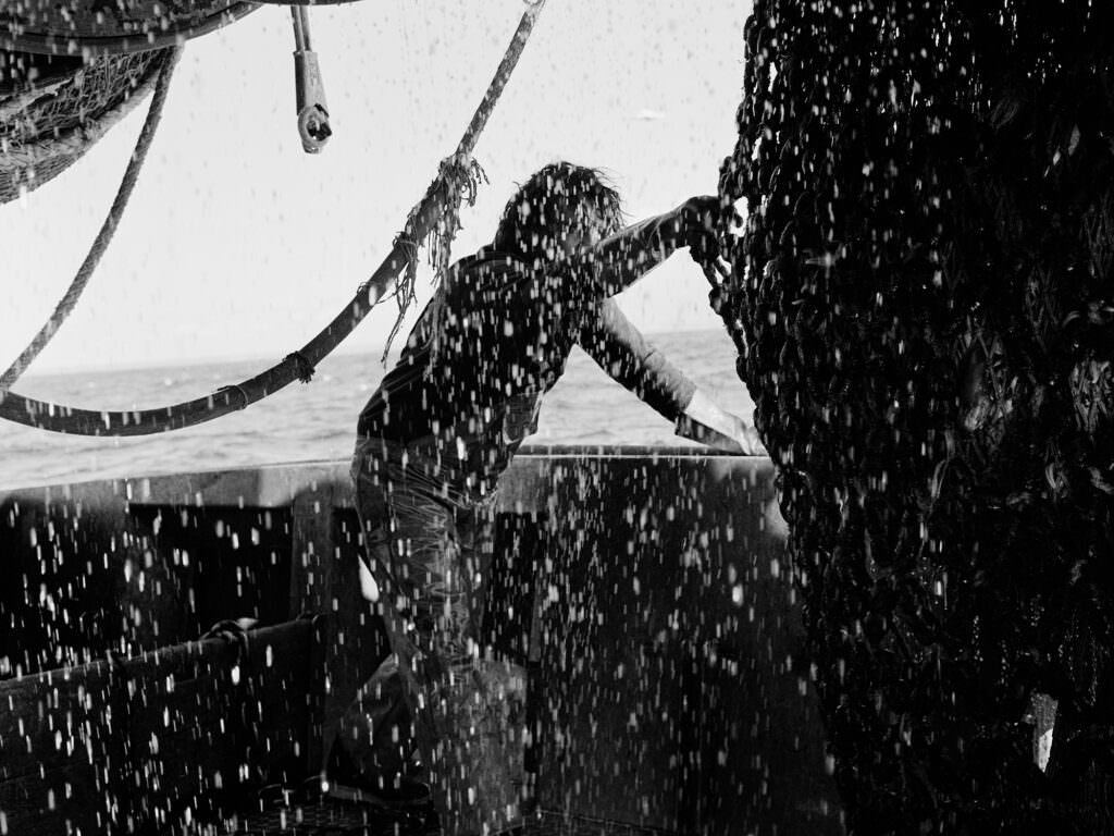 Ciro Battiloro - La fotografia “etica” di Ciro Battiloro oggi nella Piana di Gioia Tauro - 7 Ciro Battiloro - Meraviglie di Calabria - 6