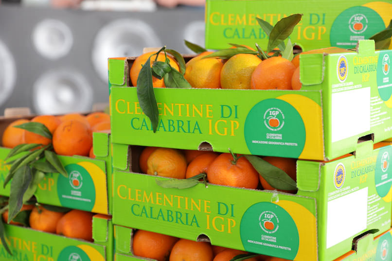 Clementine di Calabria IGP 10 - Meraviglie di Calabria - 4