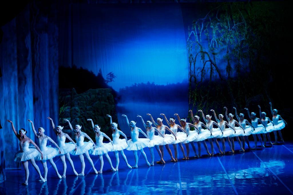 Lago dei Cigni 2 - Al Teatro Rendano il “Lago dei Cigni” con l'etoile mondiale Viviana Olaru - 9 Lago dei Cigni 2 - Meraviglie di Calabria - 8