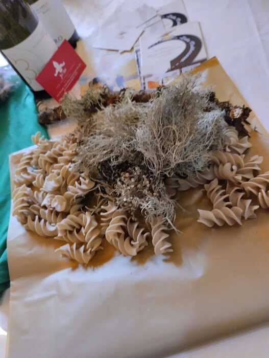 Pasta ai licheni della Sila 1 - La Sila che ispira, con i suoi licheni una pasta da alta cucina - 3 Pasta ai licheni della Sila 1 - Meraviglie di Calabria - 2