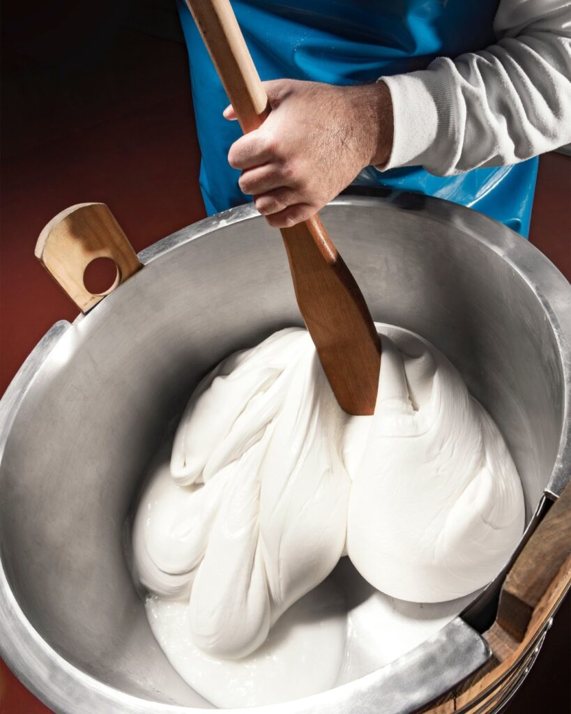 casaro mozzarella gustus - Gustus, la Calabria al salone dell'agroalimentare di Napoli - 9 casaro mozzarella gustus - Meraviglie di Calabria - 8
