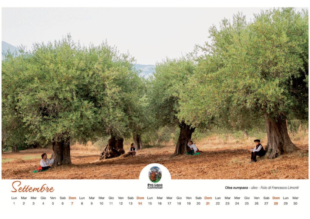 CALENDARIO PRO LOCO 2025 10 1 - "Chiante e Juri" del Parco Nazionale del Pollino per il calendario 2025 - 15 CALENDARIO PRO LOCO 2025 10 1 - Meraviglie di Calabria - 14