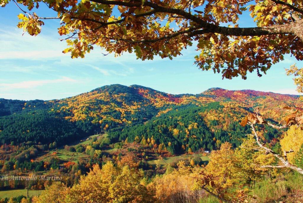 Cammina sila autunno foliage - “4 Hotel”, Bruno Barbieri in Sila per una nuova sfida tra albergatori - 5 Cammina sila autunno foliage - Meraviglie di Calabria - 4
