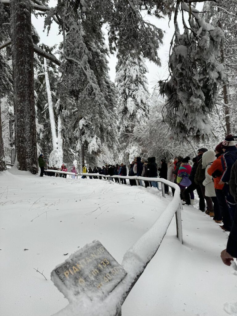 Giganti dell Sila neve 11 - Innamorati della Sila, il viaggio lento su un vecchio treno a vapore - 39 Giganti dell Sila neve 11 - Meraviglie di Calabria - 38