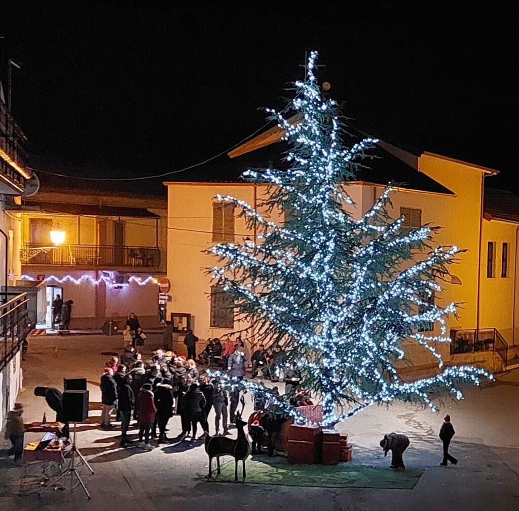 MANDATORICCIO ALBERI 4 - Meraviglie di Calabria - 111