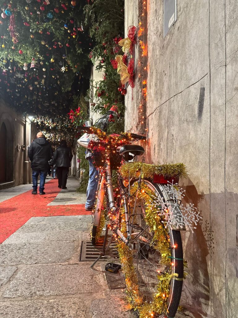 Nicotera strada del vischio 14 - La Via del Vischio di Nicotera, i buoni auspici e i baci promesse d'amore - 7 Nicotera strada del vischio 14 - Meraviglie di Calabria - 6