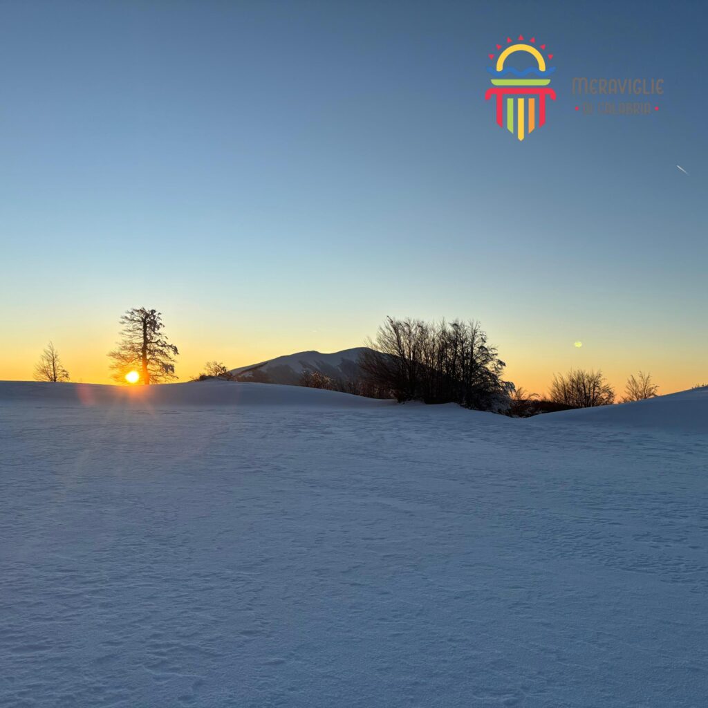 Pollino neve pino loricato giardino degli dei 1 - Parco del Pollino, stare a un passo dagli dèi - 9 Pollino neve pino loricato giardino degli dei 1 - Meraviglie di Calabria - 8