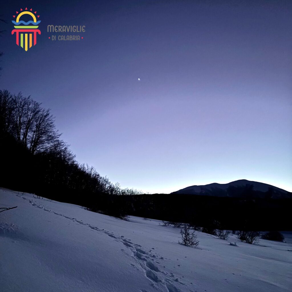 Pollino neve pino loricato giardino degli dei 10 - Parco del Pollino, stare a un passo dagli dèi - 5 Pollino neve pino loricato giardino degli dei 10 - Meraviglie di Calabria - 4