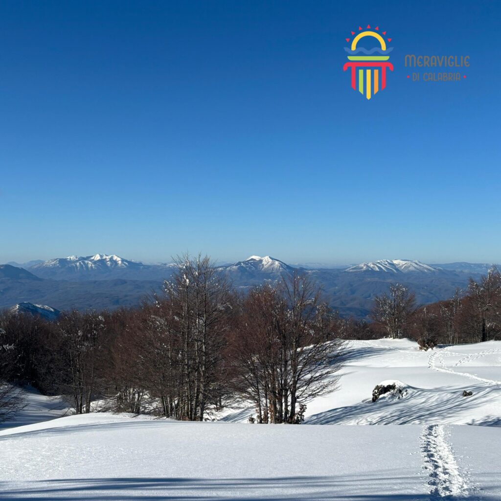 Pollino neve pino loricato giardino degli dei 2 - Parco del Pollino, stare a un passo dagli dèi - 17 Pollino neve pino loricato giardino degli dei 2 - Meraviglie di Calabria - 16