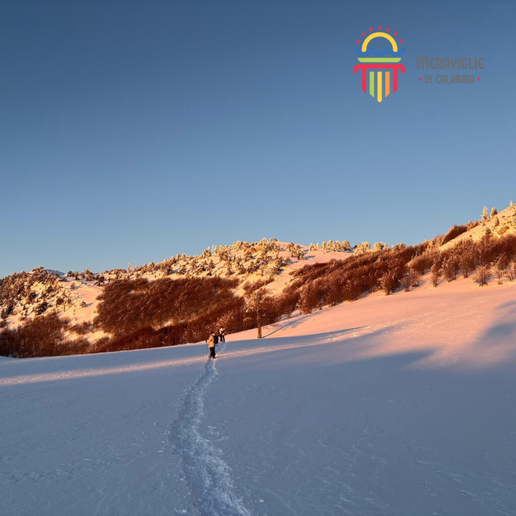 Pollino neve pino loricato giardino degli dei 8 - Parco del Pollino, stare a un passo dagli dèi - 11 Pollino neve pino loricato giardino degli dei 8 - Meraviglie di Calabria - 10