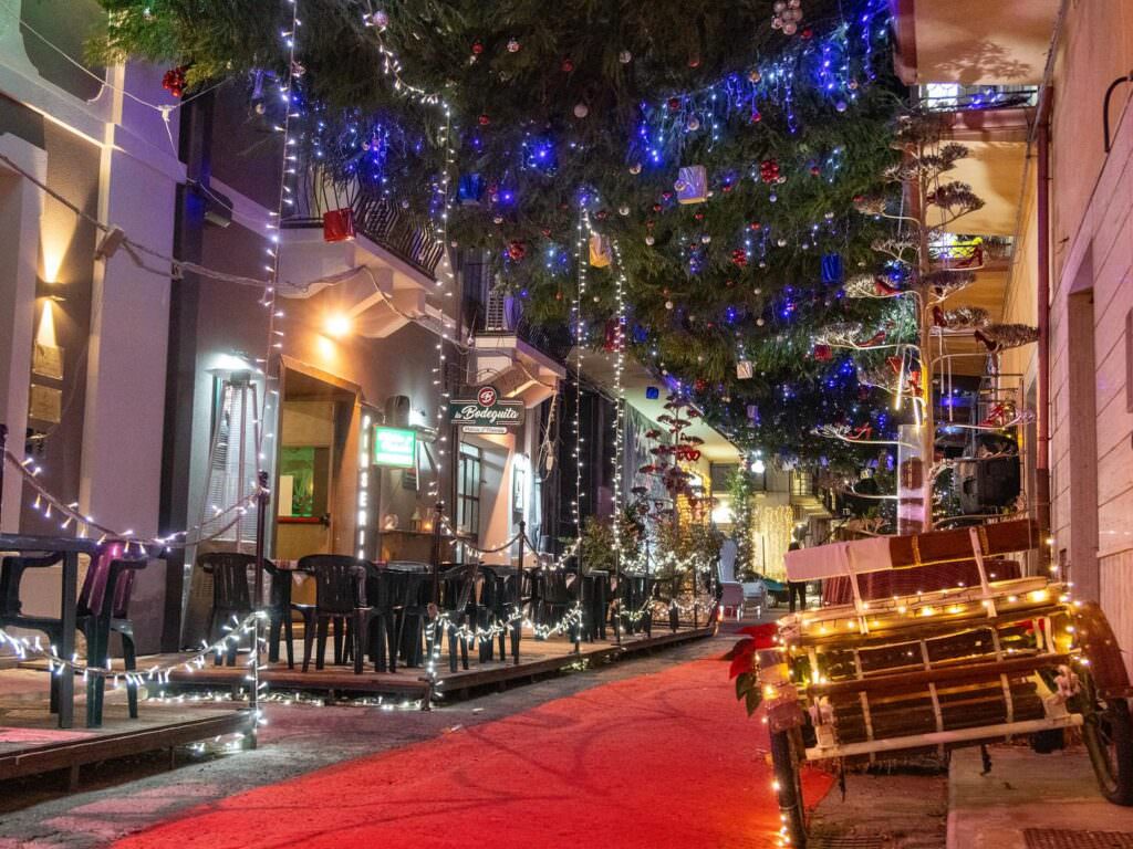 Siderno Natale 12 - Natale a Siderno, mai così magico - 31 Siderno Natale 12 - Meraviglie di Calabria - 30