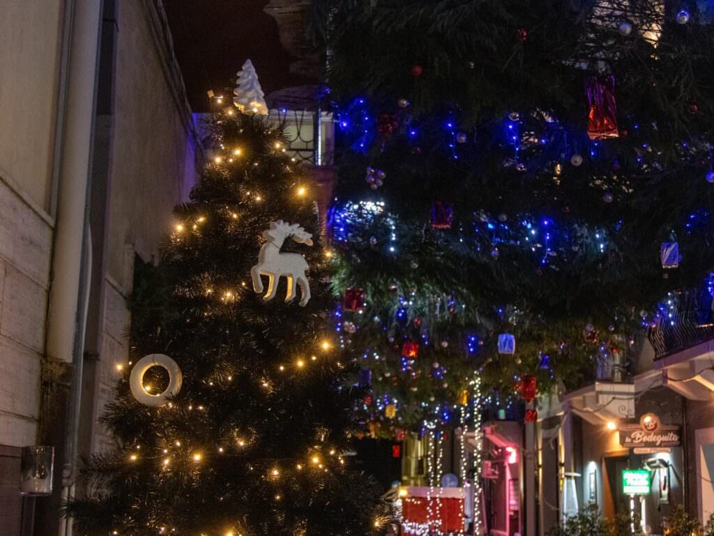 Siderno Natale 9 - Natale a Siderno, mai così magico - 27 Siderno Natale 9 - Meraviglie di Calabria - 26