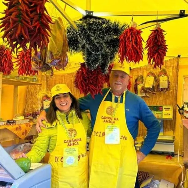 Viggiano titolari azienda valle lao - Lavoro artigianale, la scelta di tre donne calabresi - 15 Viggiano titolari azienda valle lao - Meraviglie di Calabria - 14