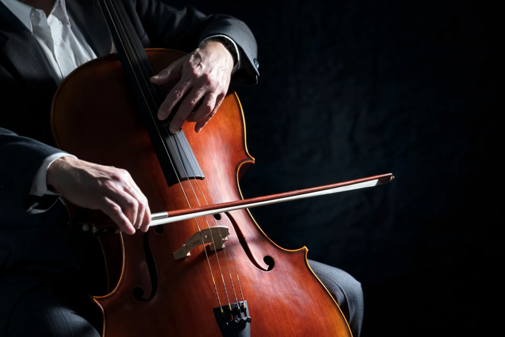 Violoncello mano 1 - Meraviglie di Calabria - 9