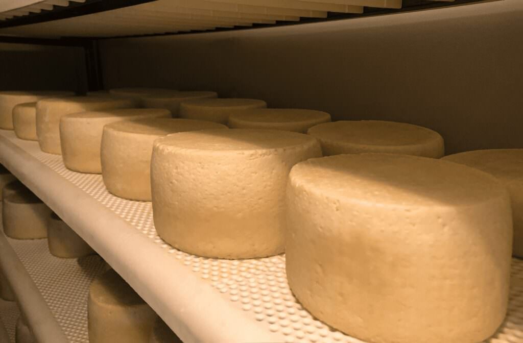 pecorino del monteporo presidio slow food - Meraviglie di Calabria - 14