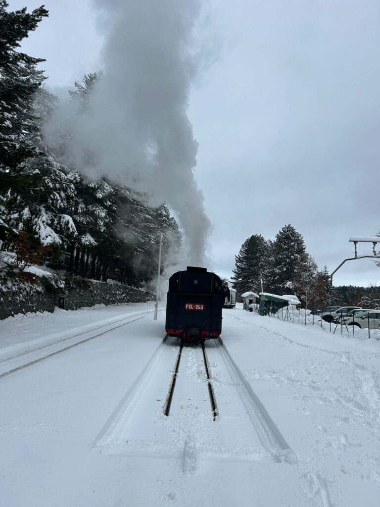 treno sila locomotiva neve 10 1 - Innamorati della Sila, il viaggio lento su un vecchio treno a vapore - 29 treno sila locomotiva neve 10 1 - Meraviglie di Calabria - 28