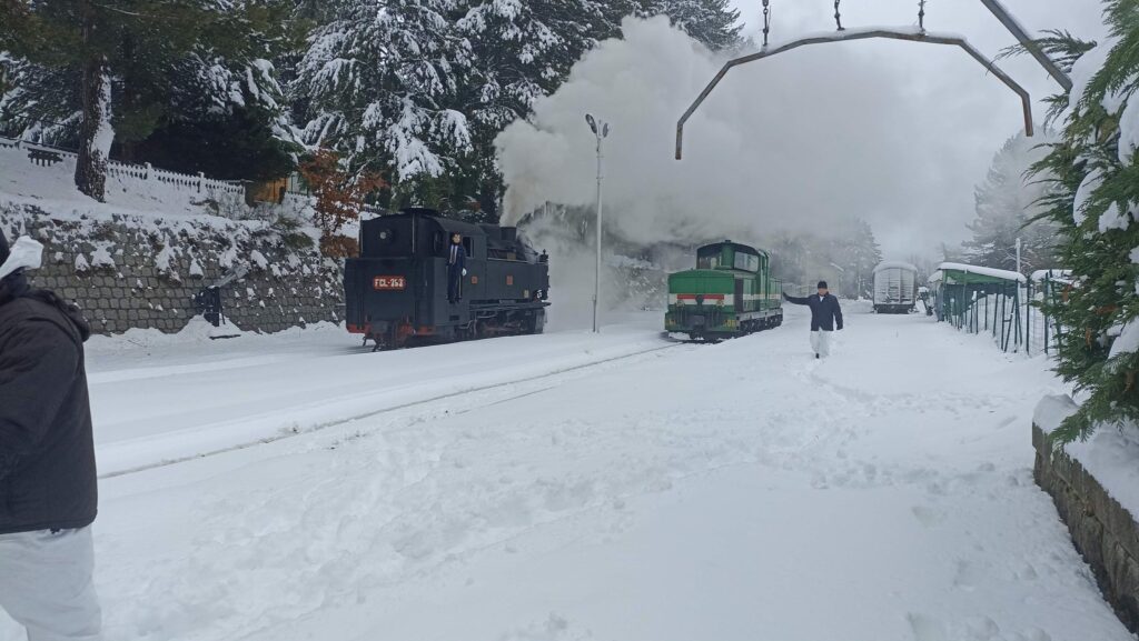 treno sila locomotiva neve 9 - Innamorati della Sila, il viaggio lento su un vecchio treno a vapore - 9 treno sila locomotiva neve 9 - Meraviglie di Calabria - 8