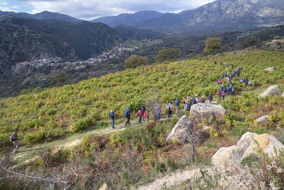 Escursioni Gente dAspromonte 14 - I Sentieri dimenticati, in Aspromonte lungo ‘A carrera di Cunsulari' - 7 Escursioni Gente dAspromonte 14 - Meraviglie di Calabria - 6