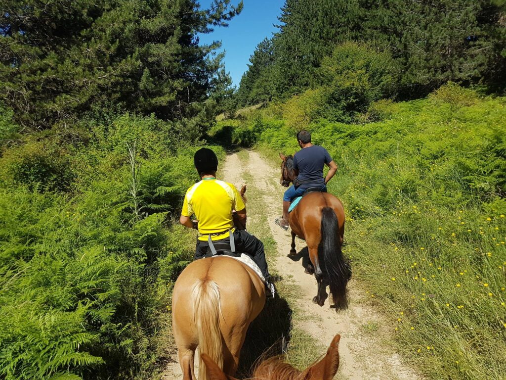Lorica cavalli - Sila, cresce il turismo consapevole e l'offerta di qualità - 51 Lorica cavalli - Meraviglie di Calabria - 50