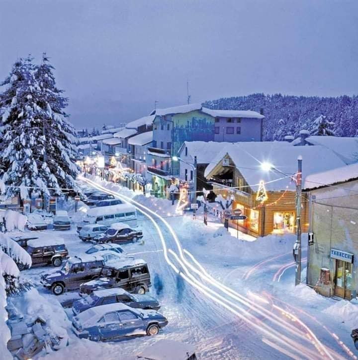 Sila Camigliatello con neve - Turismo invernale, la Calabria cresce ed è leader nel Sud - 13 Sila Camigliatello con neve - Meraviglie di Calabria - 12