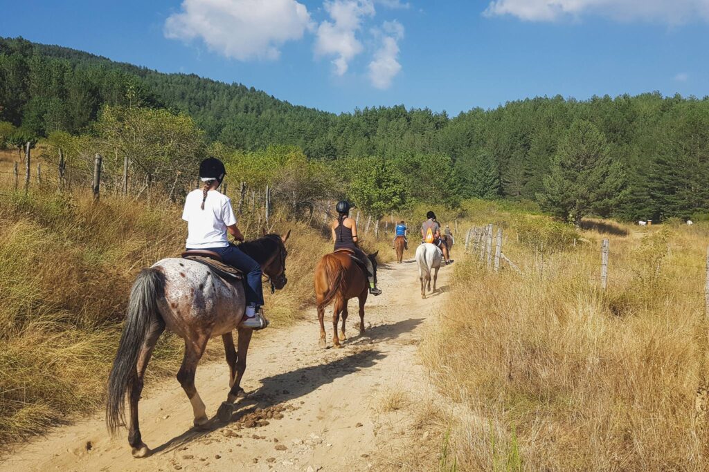 Sila cavalli - Sila, cresce il turismo consapevole e l'offerta di qualità - 17 Sila cavalli - Meraviglie di Calabria - 16